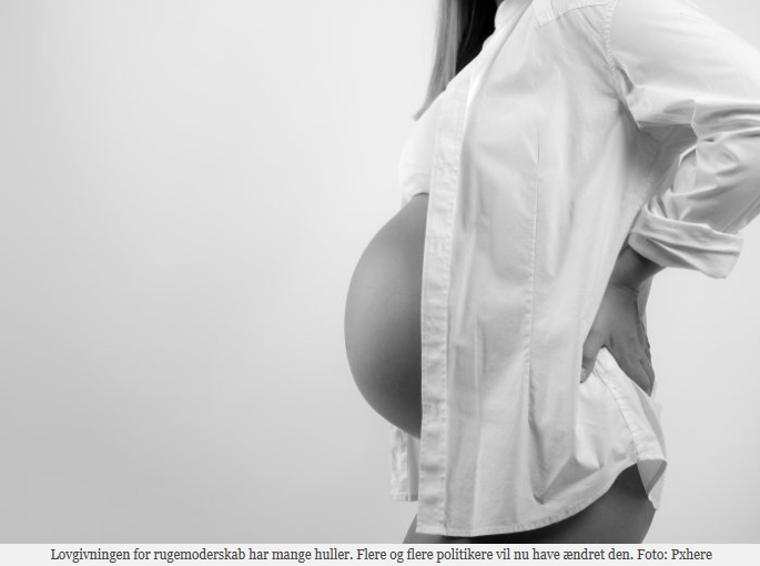 Professor og politiker kræver ny lov om rugemødre - Nordic Surrogacy